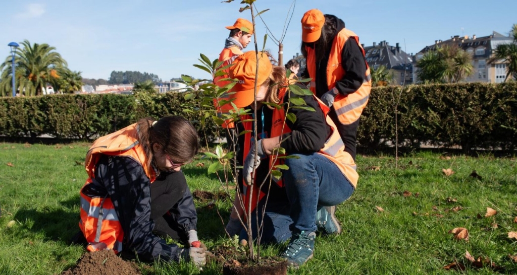 Operarios plantando un árbol