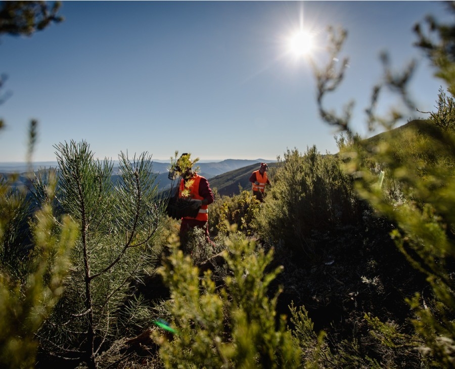  Personas caminando en plena naturaleza